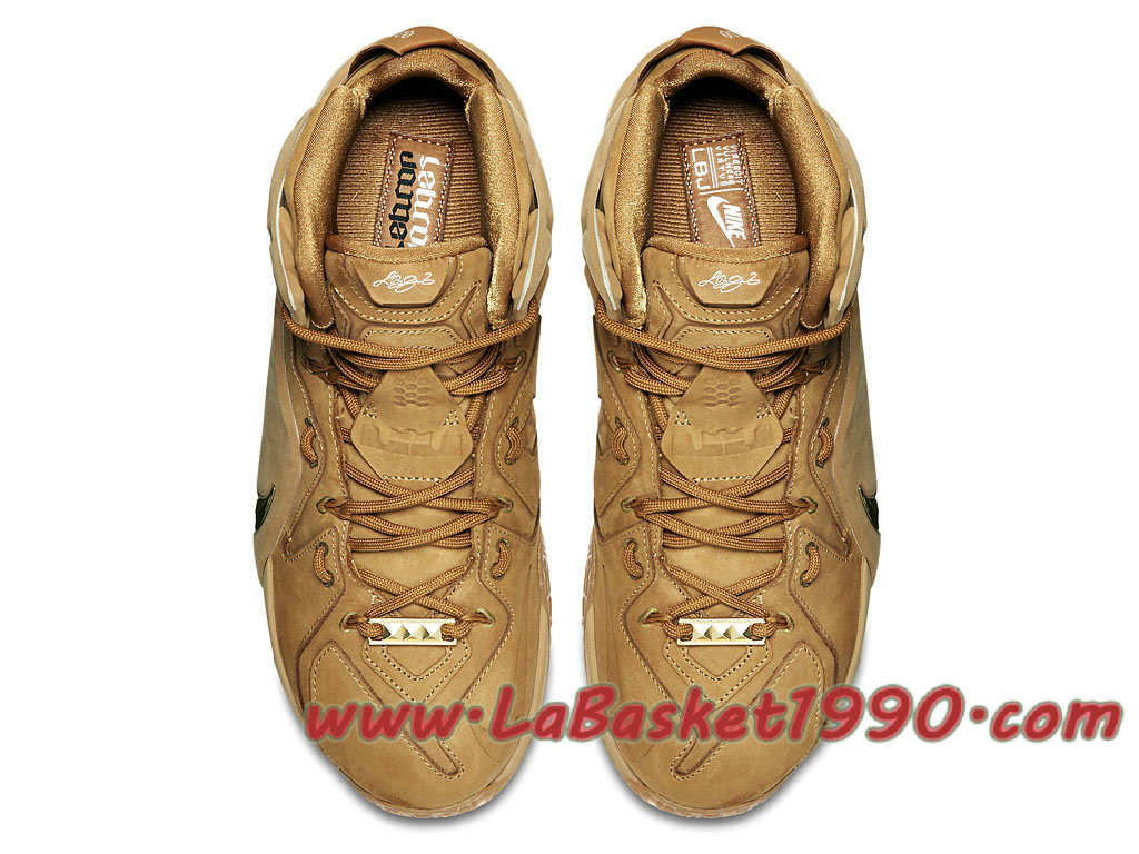 nike lebron 3 brun